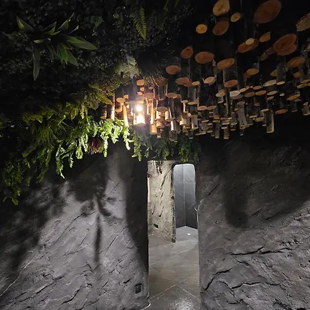 L'escargot - Maison Avec Espace Bien Etre Privatif