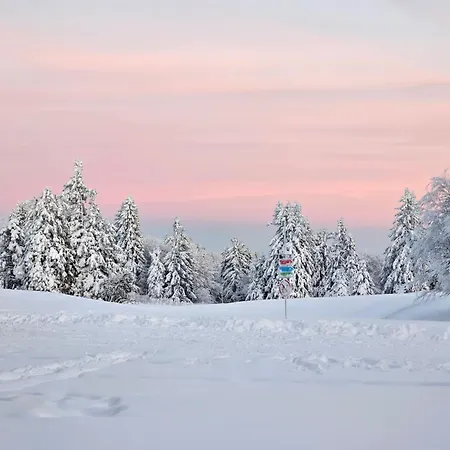Vakantiehuis L'escargot - Maison Avec Espace Bien Etre Privatif *