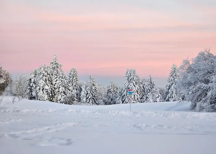 Prázdninový dům L'escargot - Maison Avec Espace Bien Etre Privatif *