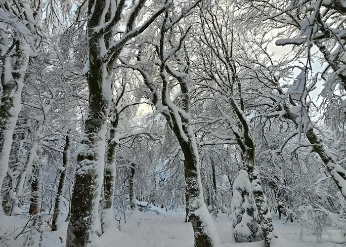 Prázdninový dům L'escargot - Maison Avec Espace Bien Etre Privatif